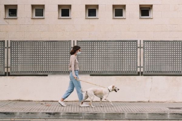 La importancia de las mascotas en el confinamiento 