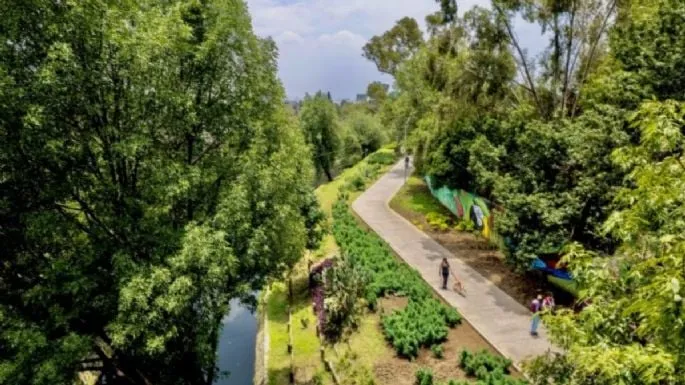 BioFest: Festival por la Naturaleza en la CDMX: Fecha, horario y sede