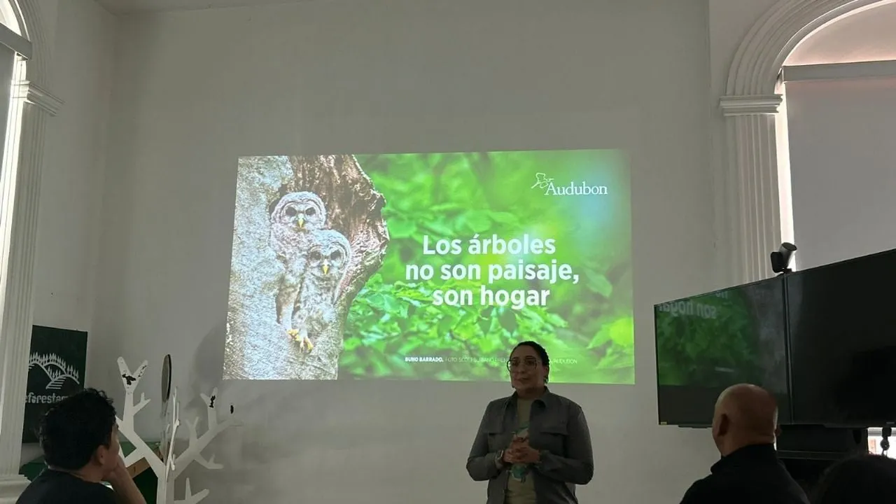 Árboles, resistencia del equilibrio ecológico en la CDMX