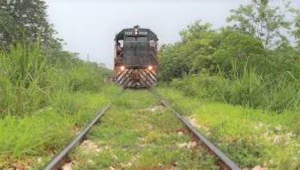 INAH encuentra cerca de tres mil vestigios en ruta del Tren Maya