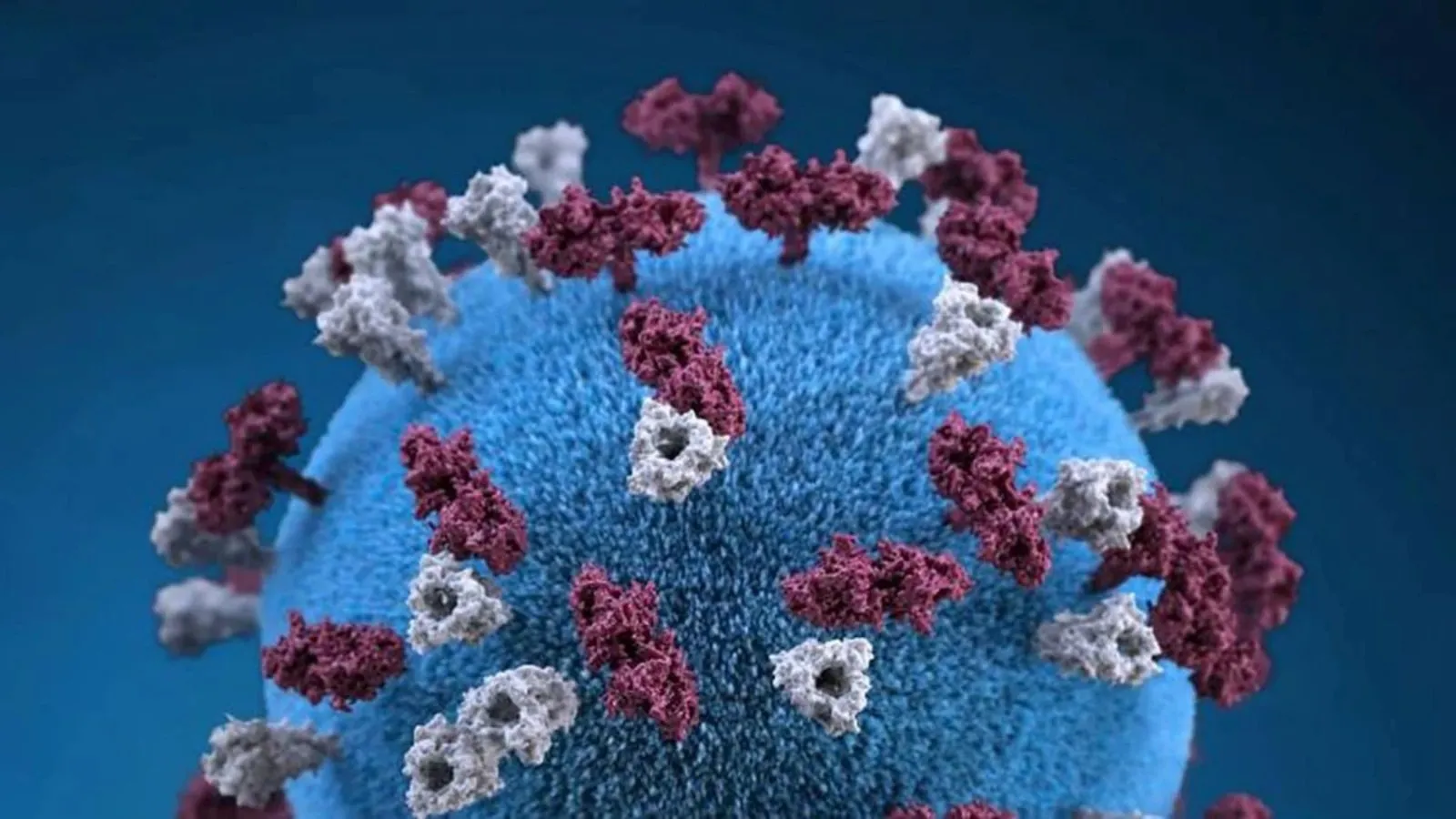 Emiten alerta epidemiológica ante el aumento de casos de sarampión
