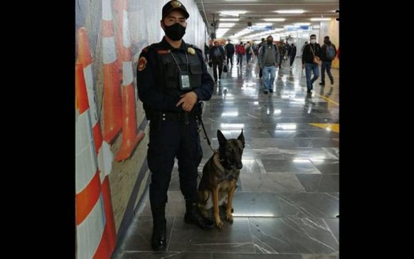Llegan perros policía al metro de la Ciudad de México