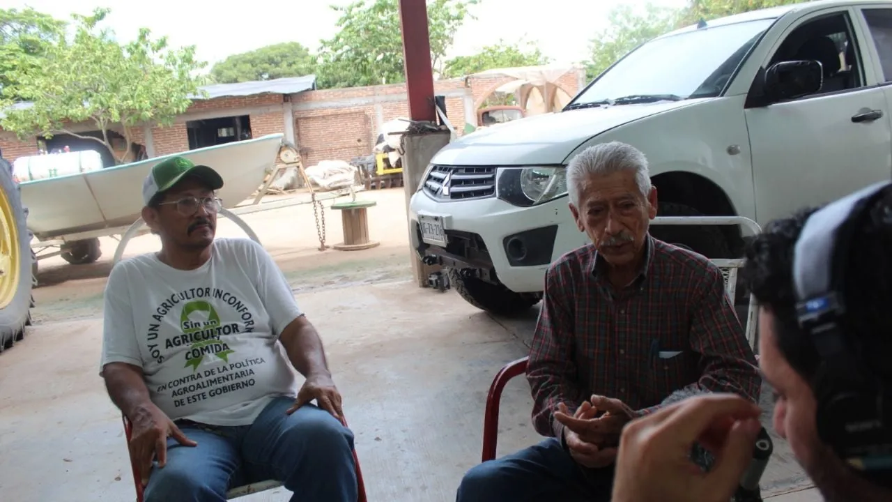 Productores de Sinaloa: sembrar maíz ya no tiene sentido; sequía y falta de apoyo, las trabas