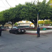 Violencia en Michoacán es por operativo contra objetivos relevantes: Sheinbaum