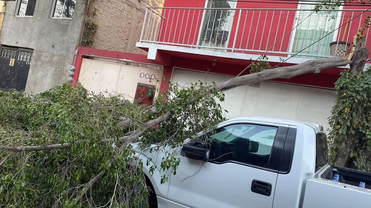 Se va el frente frío 37 pero seguirán vientos fuertes y lluvias entre lunes y jueves