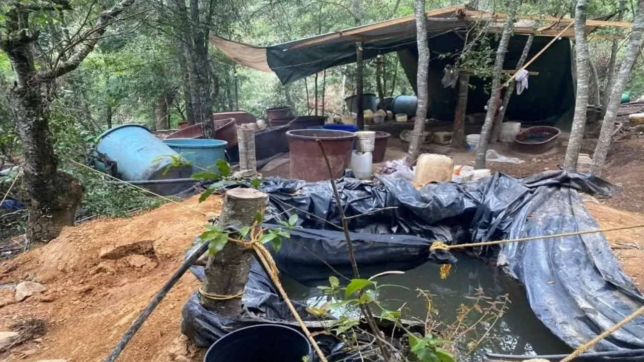 DEA revela que tres cárteles del narcotráfico operan en Hidalgo