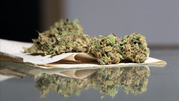 SCJN ¿legalizará hoy la marihuana? 
