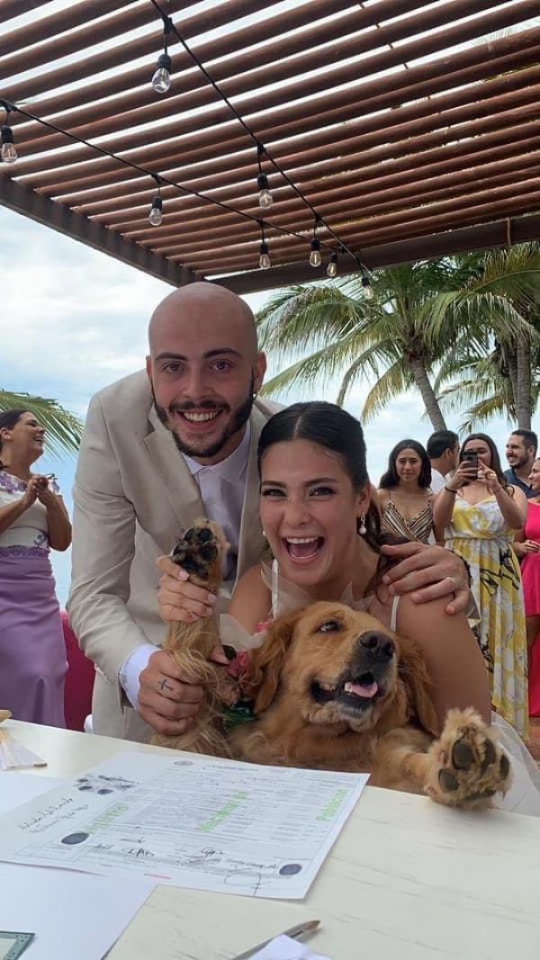 Pareja elige a perrito como testigo de su boda  