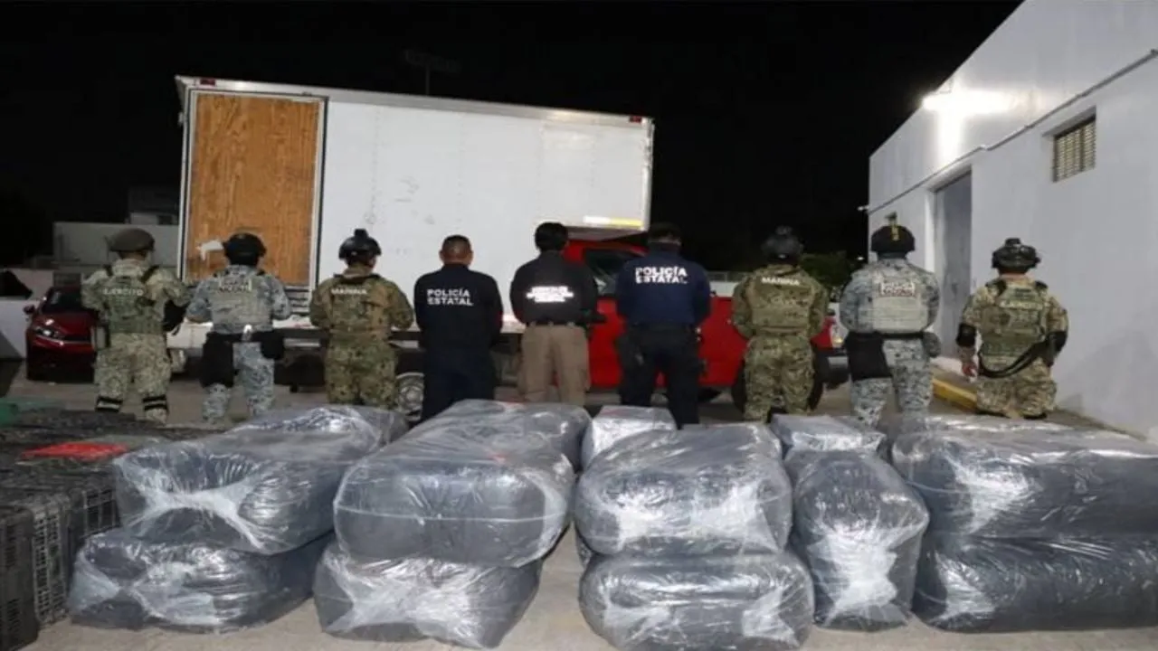 Aseguran en Huimanguillo, Tabasco, media tonelada de droga; detienen al que la transportaba