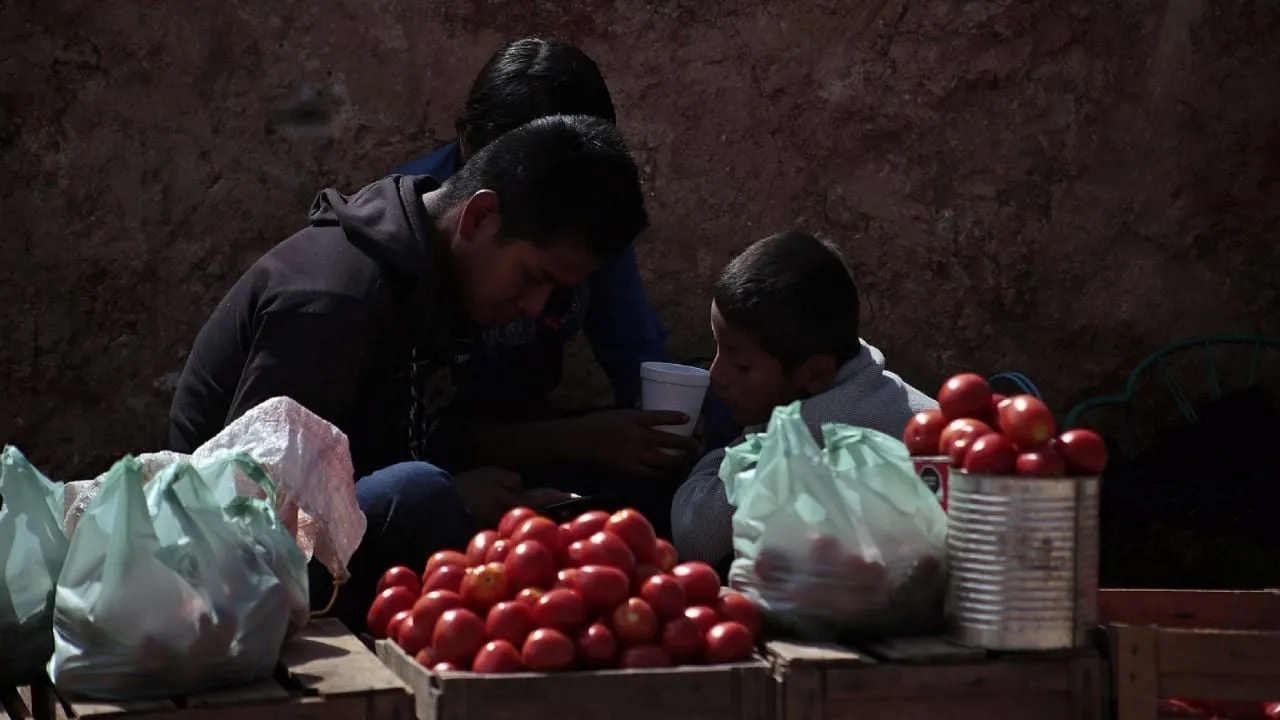 Consumidores mexicanos pagarán el precio del arancel al jitomate impuesto por EU: ANPEC