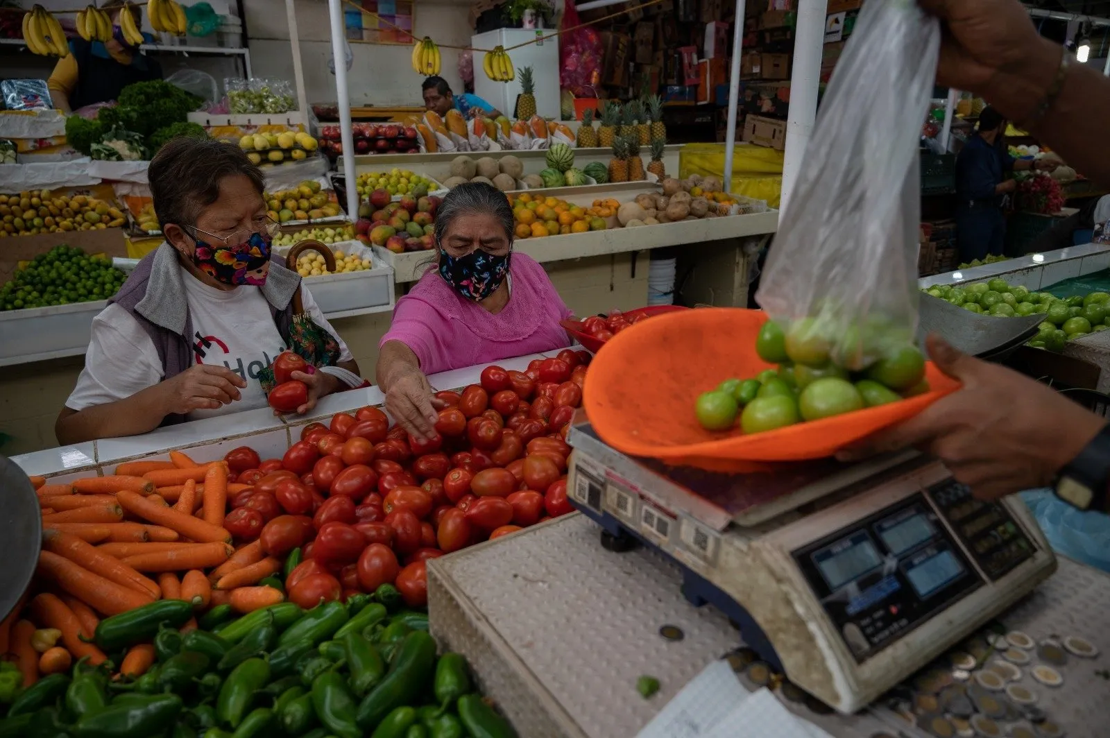 Trump ahora va contra el tomate mexicano: EU alista arancel del 20.91%