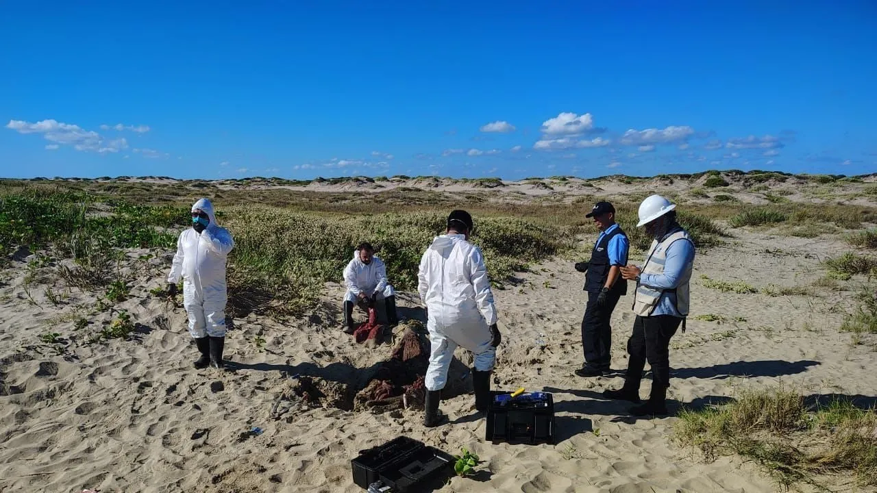 Detienen a integrantes de empresa contratada por SpaceX en Playa Bagdad por falta de permisos