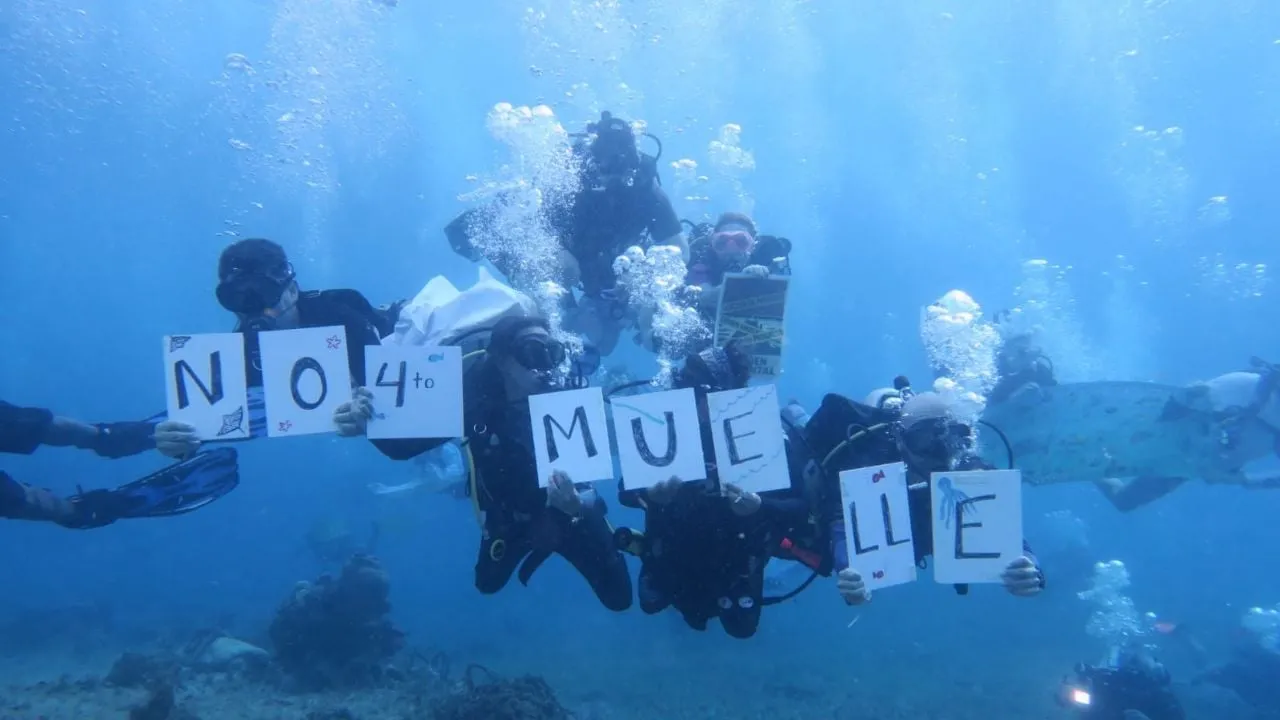 Protestan en el fondo del mar contra la construcción del Cuarto Muelle en Cozumel