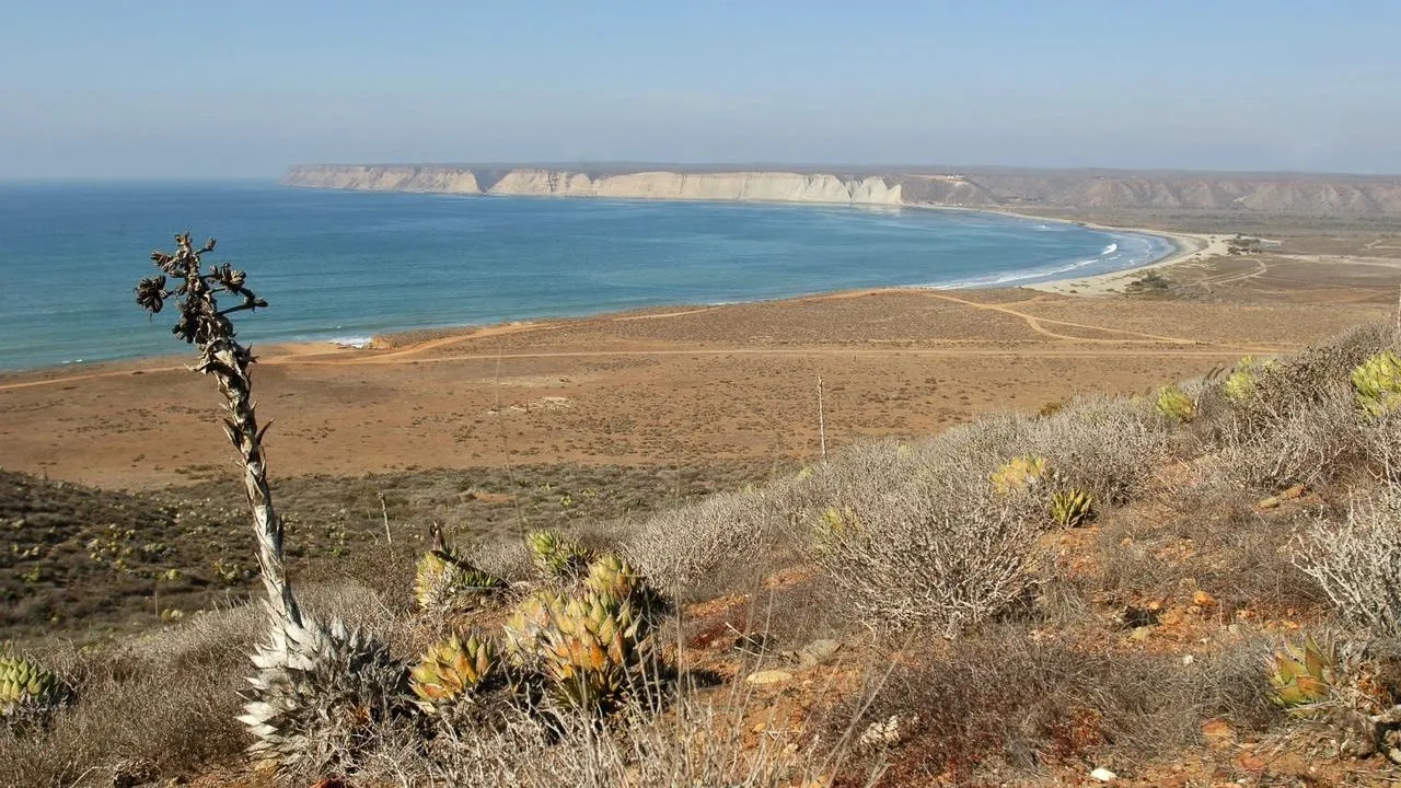 ONU alerta a Sheinbaum: Megaproyectos en Golfo de California ponen en riesgo a millones de personas