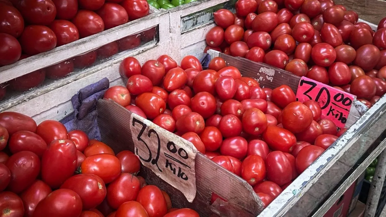 El jitomate, la vivienda y productos cosméticos disparan la inflación en Semana Santa: Inegi