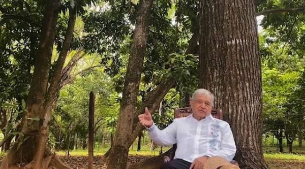 Sembrar árboles: La propuesta de AMLO a Biden