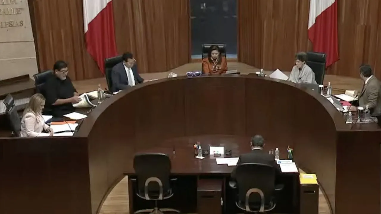 Tribunal Electoral revoca castigo a un analista por violencia política de género