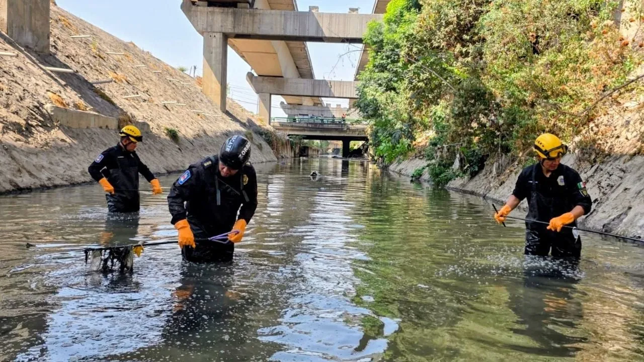 Jornada de búsqueda en Río de los Remedios y Cerro del Chiquihuite concluye sin hallazgos