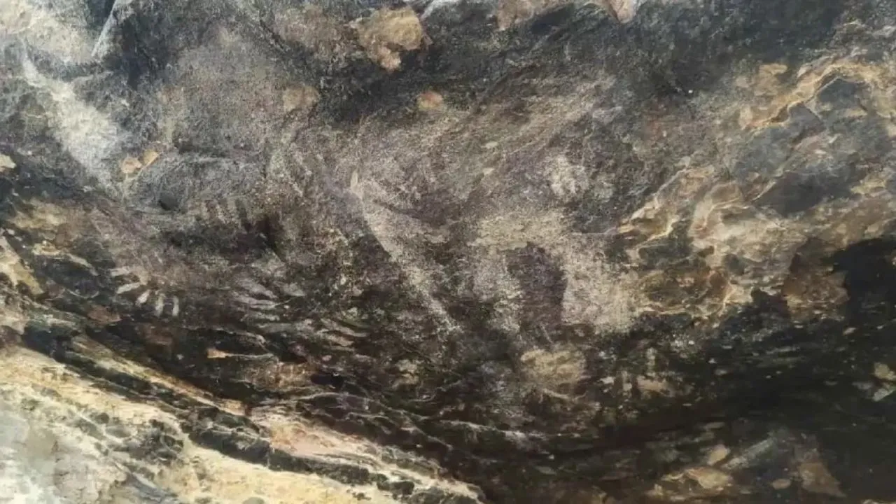 INAH confirma descubrimiento de pinturas rupestres en Tehuacán
