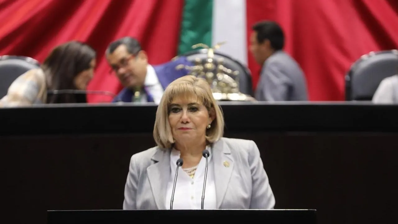 Diputada del PRI pide al gobierno federal implementar programa nacional de baches