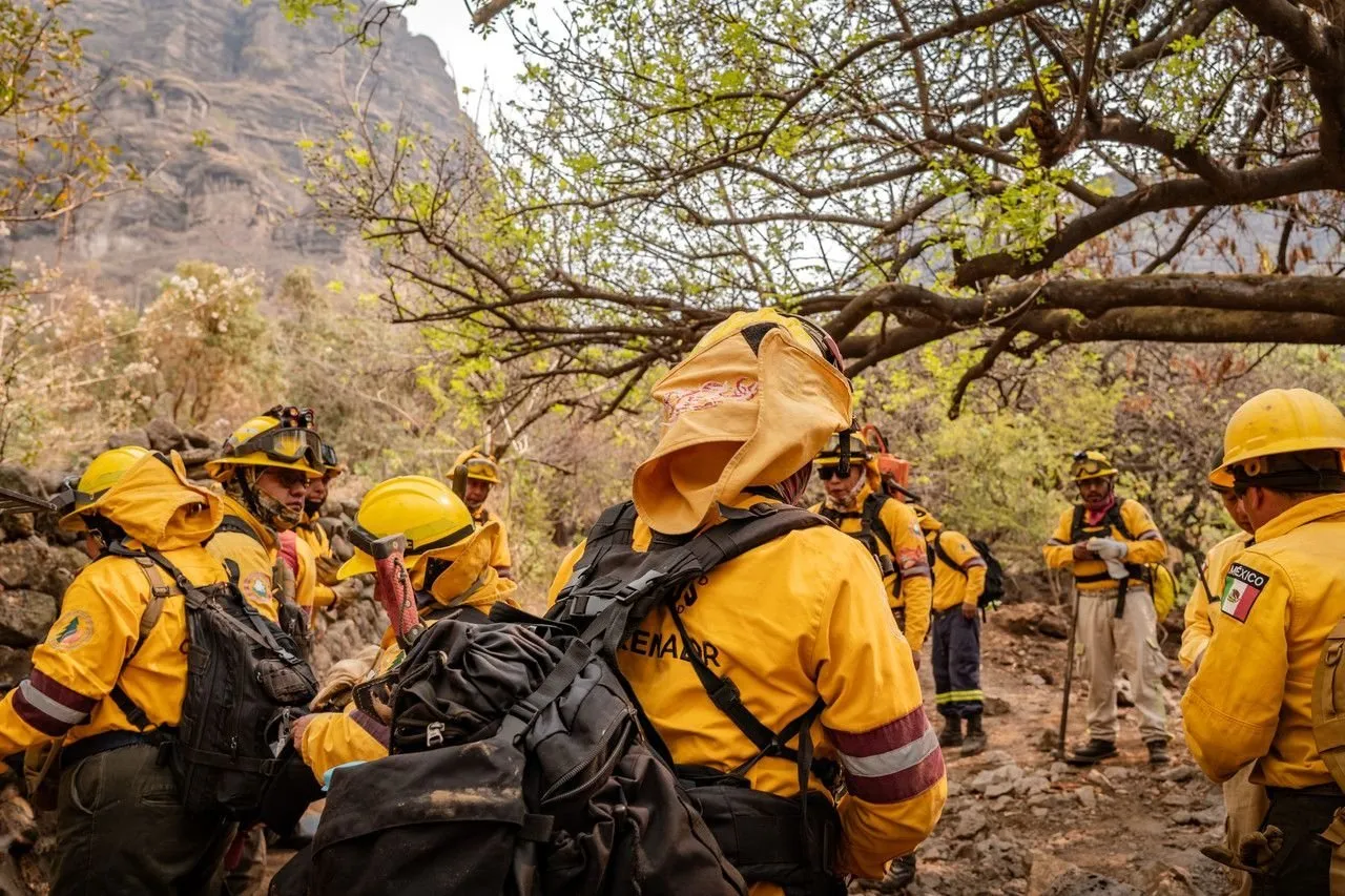 Diez incendios forestales activos en Morelos; Tepoztlán concentra la mayor afectación