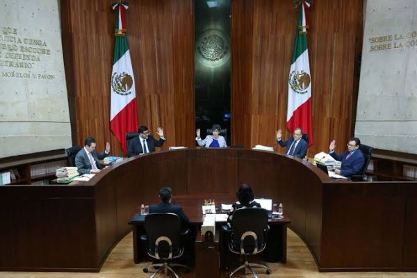 Devuelven candidatura a morenistas sentenciados por violencia de género.