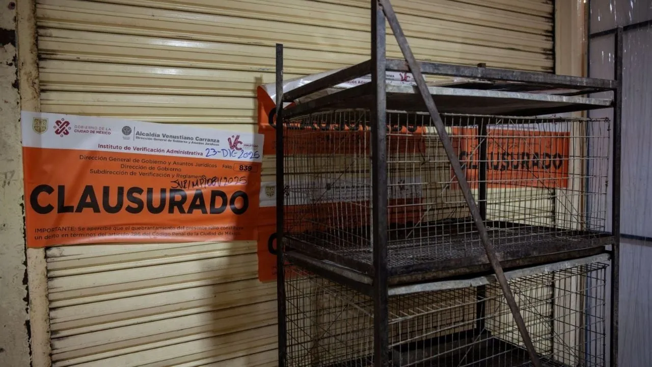 Llaman a reforzar la vigilancia en el Mercado de Sonora contra la venta ilegal de animales