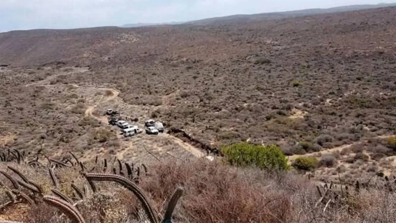 Confirman ocho cuerpos en fosa clandestina en Bahía de Los Ángeles, Baja California