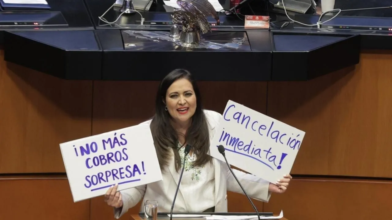 El Senado aprueba en fast track la reforma que regula las suscripciones digitales