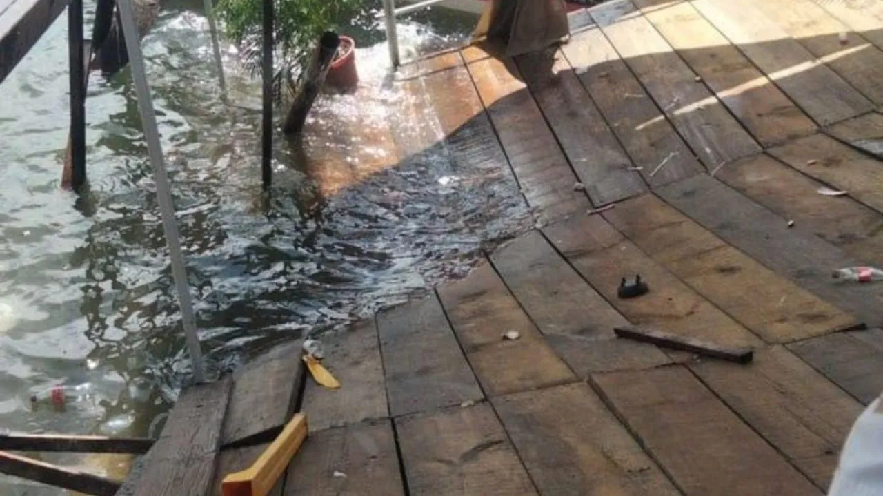 Se desploma muelle en el lago de Tequesquitengo; más de 30 personas caen al agua (Video)