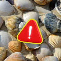 Un millón de pulpos al año: por qué cancelaron la primera granja comercial del mundo