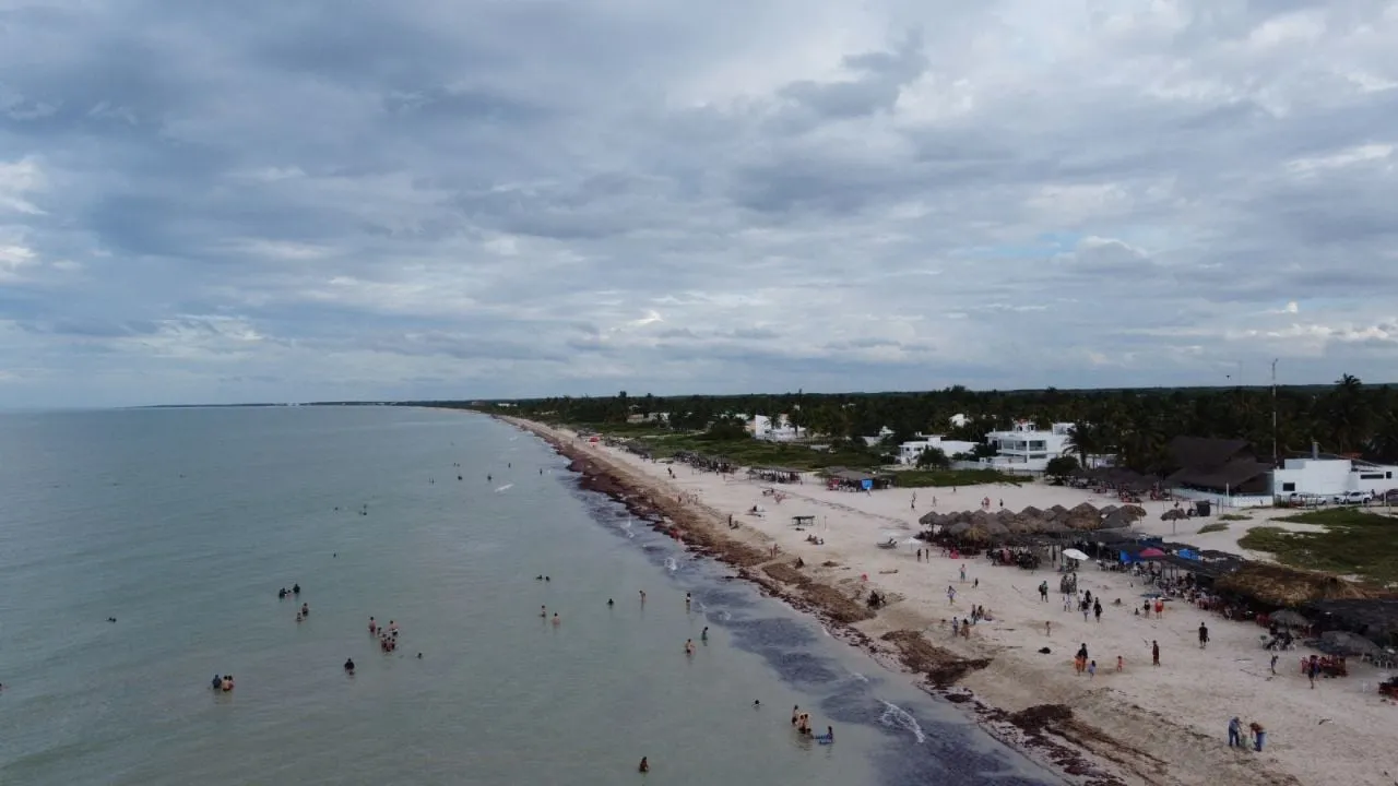 Sargazo alcanzará niveles sin precedentes en playas mexicanas este año: advierte la UNAM