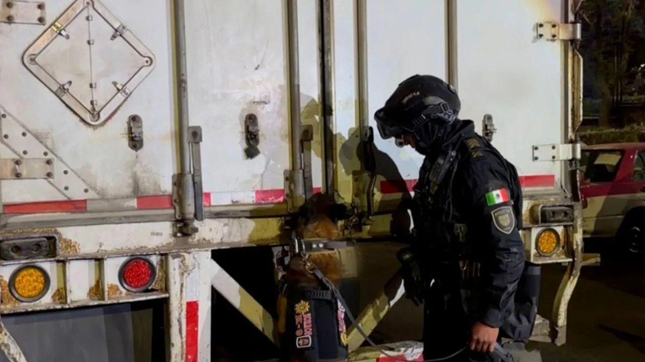 Mariguana valuada en 15 millones de pesos fue detectada en un tractocamión que circulaba en la CDMX