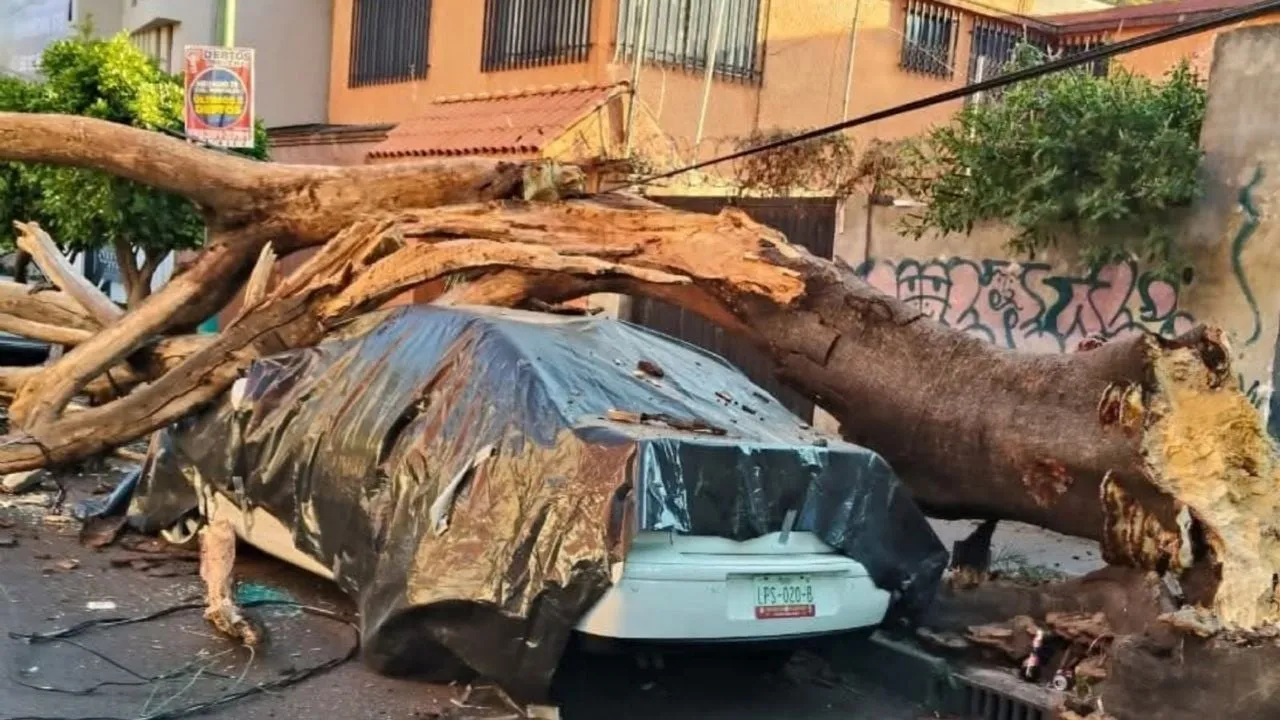 Brugada reporta saldo blanco en CDMX tras sismo magnitud 6.5 (Video)