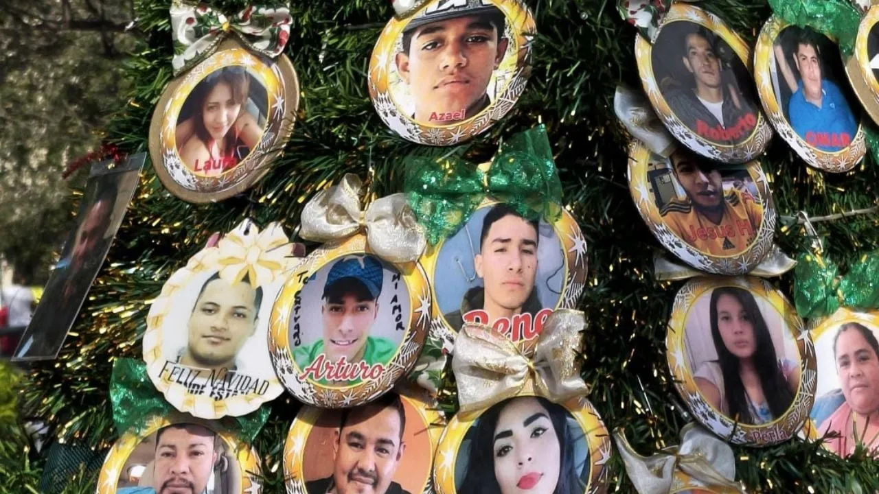 Colectivo de búsqueda colocan Pino la Esperanza por los Desaparecidos en Reynosa