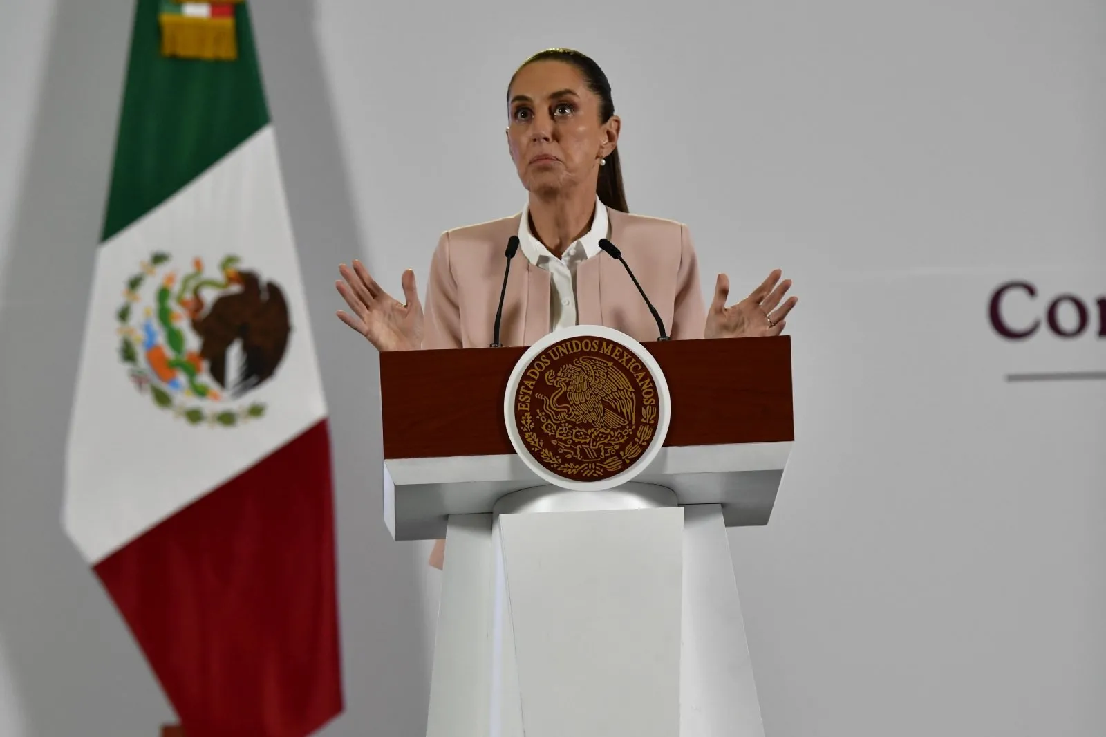 Sheinbaum niega que AMLO ordenó reelección de Rosario Piedra