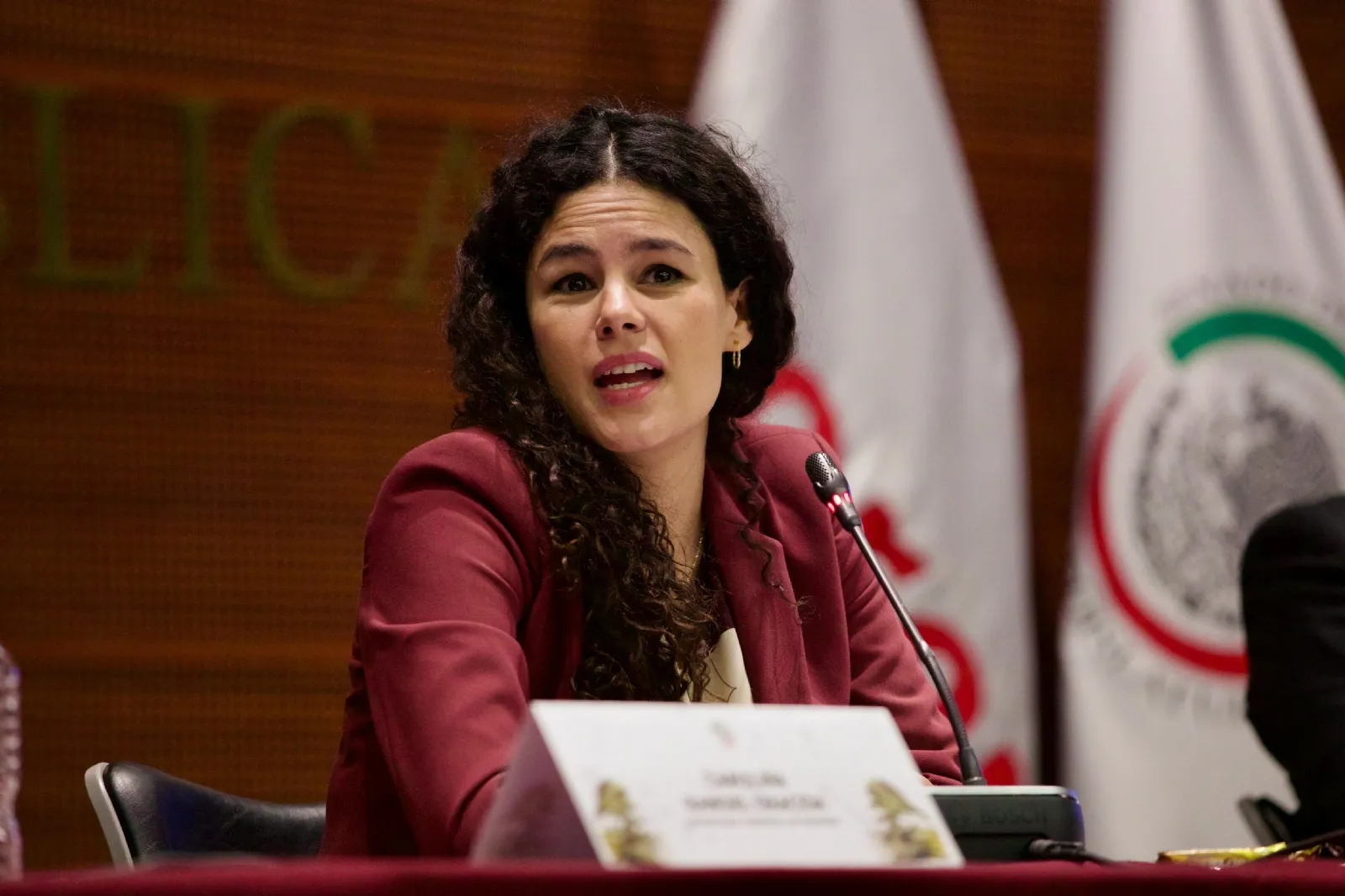 Luisa Alcalde acusa al INE de buscar que la población no participe en la elección judicial