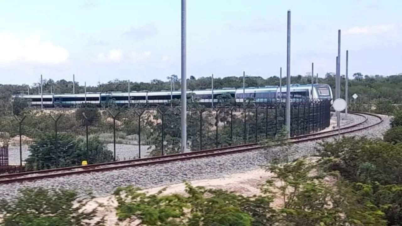 Semarnat autoriza nuevo desmonte de selva para la terminal de carga del Tren Maya en Cancún