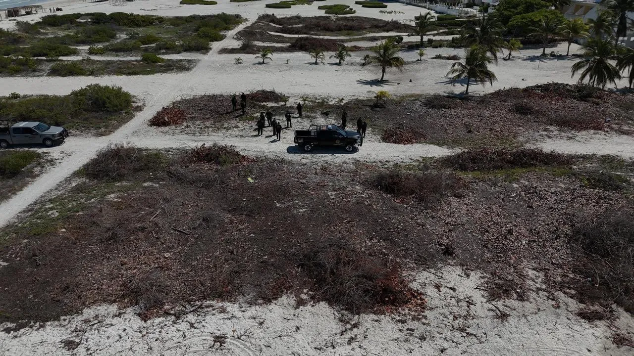 Se detendrá a quienes talaron manglar en Sisal, Yucatán, por ser delito federal: Bárcena
