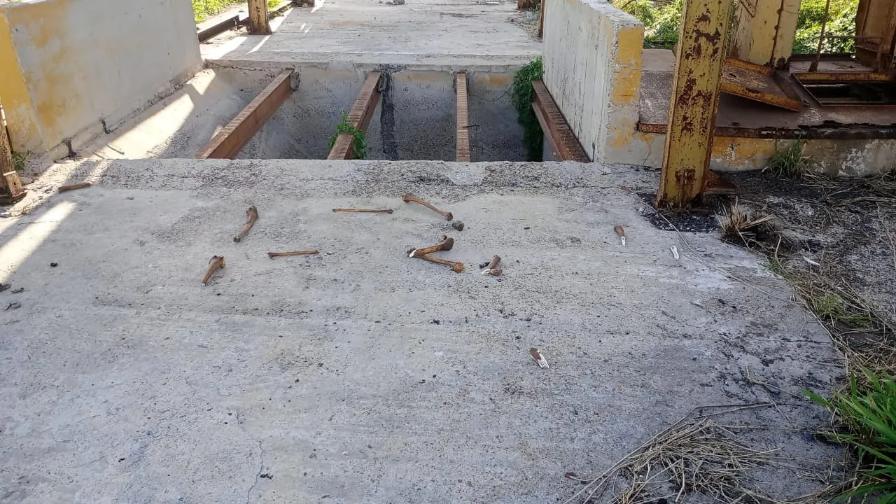 Suman 23 predios localizados con restos humanos en Reynosa y Río Bravo en lo que va del año