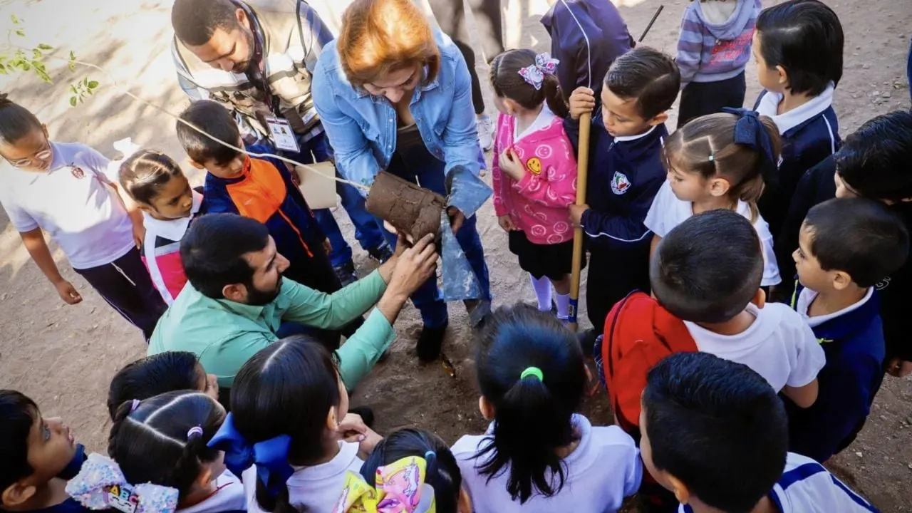 Violencia en Sinaloa deja importante afectación a niños y a su educación: Mexicanos Primero