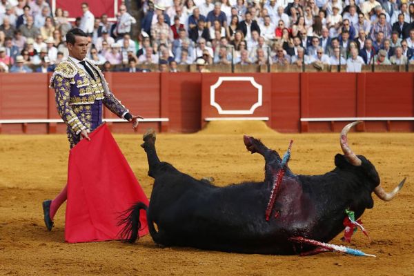 Tauromaquia, rechazada como candidata a patrimonio de la UNESCO