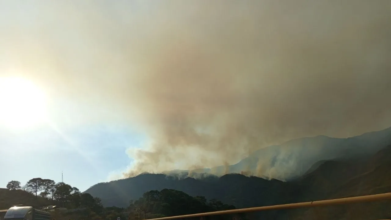 Incendios forestales en zonas serranas de Sinaloa continúan después de dos meses (Video)