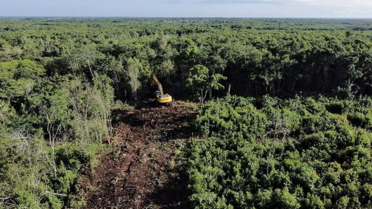 La Sedena busca tirar 259 hectáreas más de selva para hacer rentable el Tren Maya
