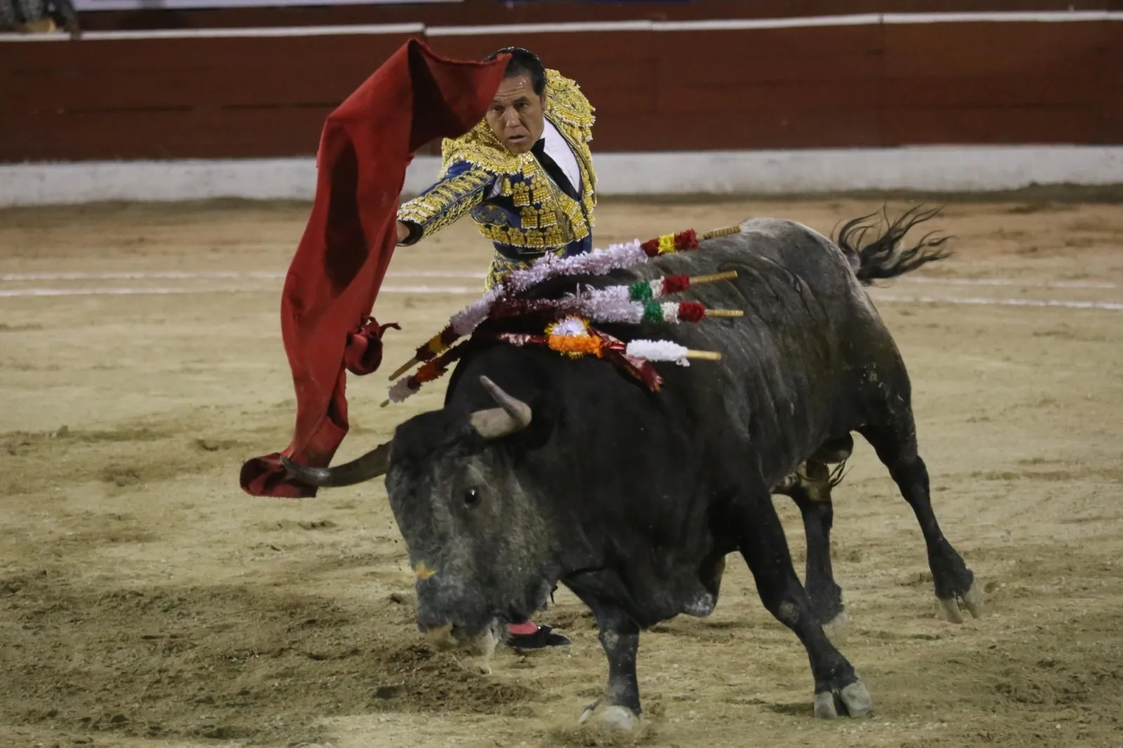 Amparo de Morena frena discusión sobre prohibición de corridas de toros y peleas de gallos en CDMX