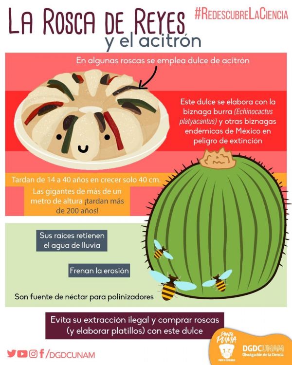 En redes sociales piden no consumir Roscas de Reyes con acitrón. 