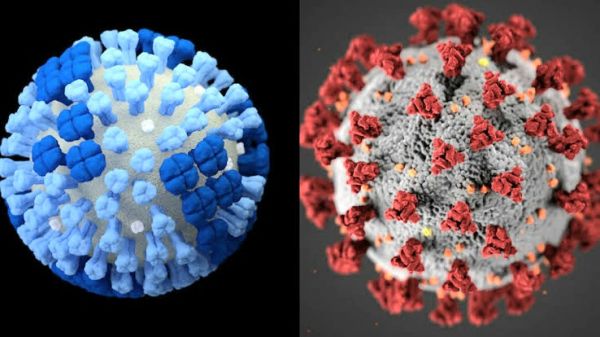 Paciente positivo a COVID e influenza, primer caso en México.