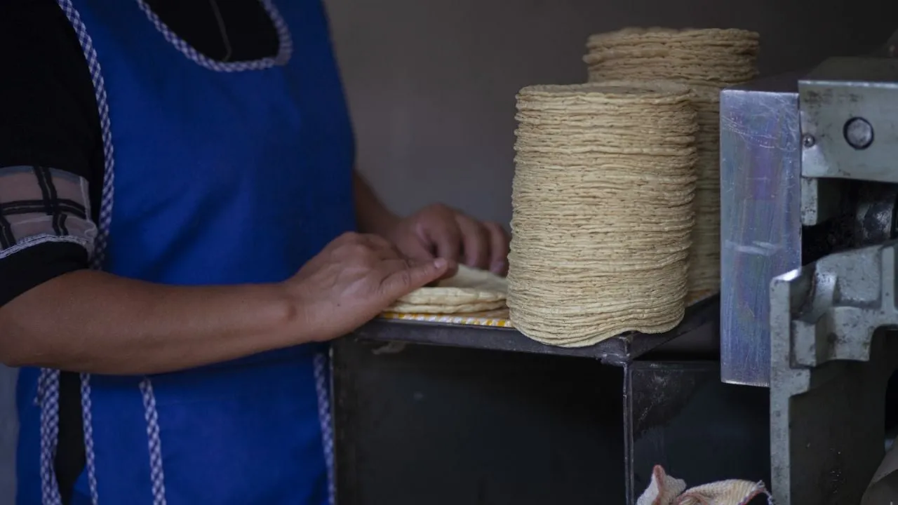 Comisión Antimonopolio libera a las tortillerías de Gruma y abre el mercado a Minsa, de Altagracia Gómez Sierra