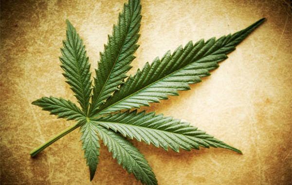 Diputados aprueban uso lúdico de la marihuana
