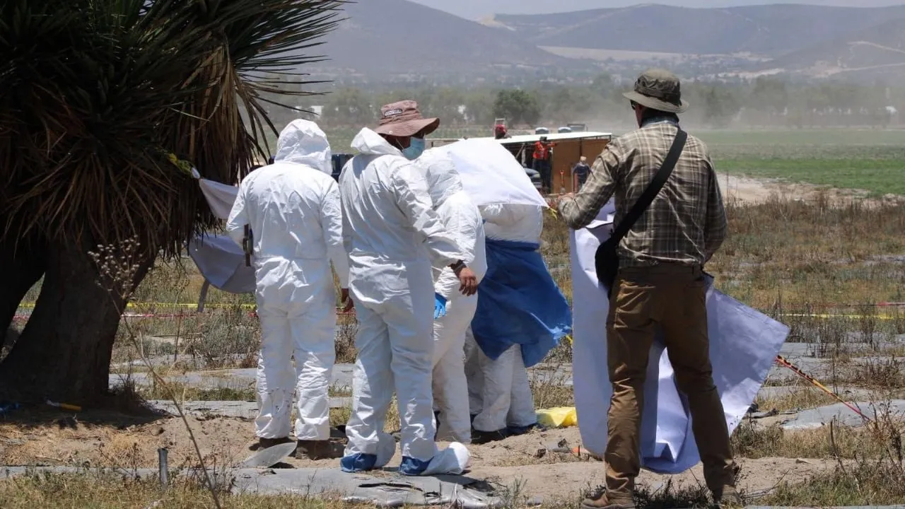 Colectivo encuentra fosa con restos humanos en rancho de Palmar de Bravo, Puebla